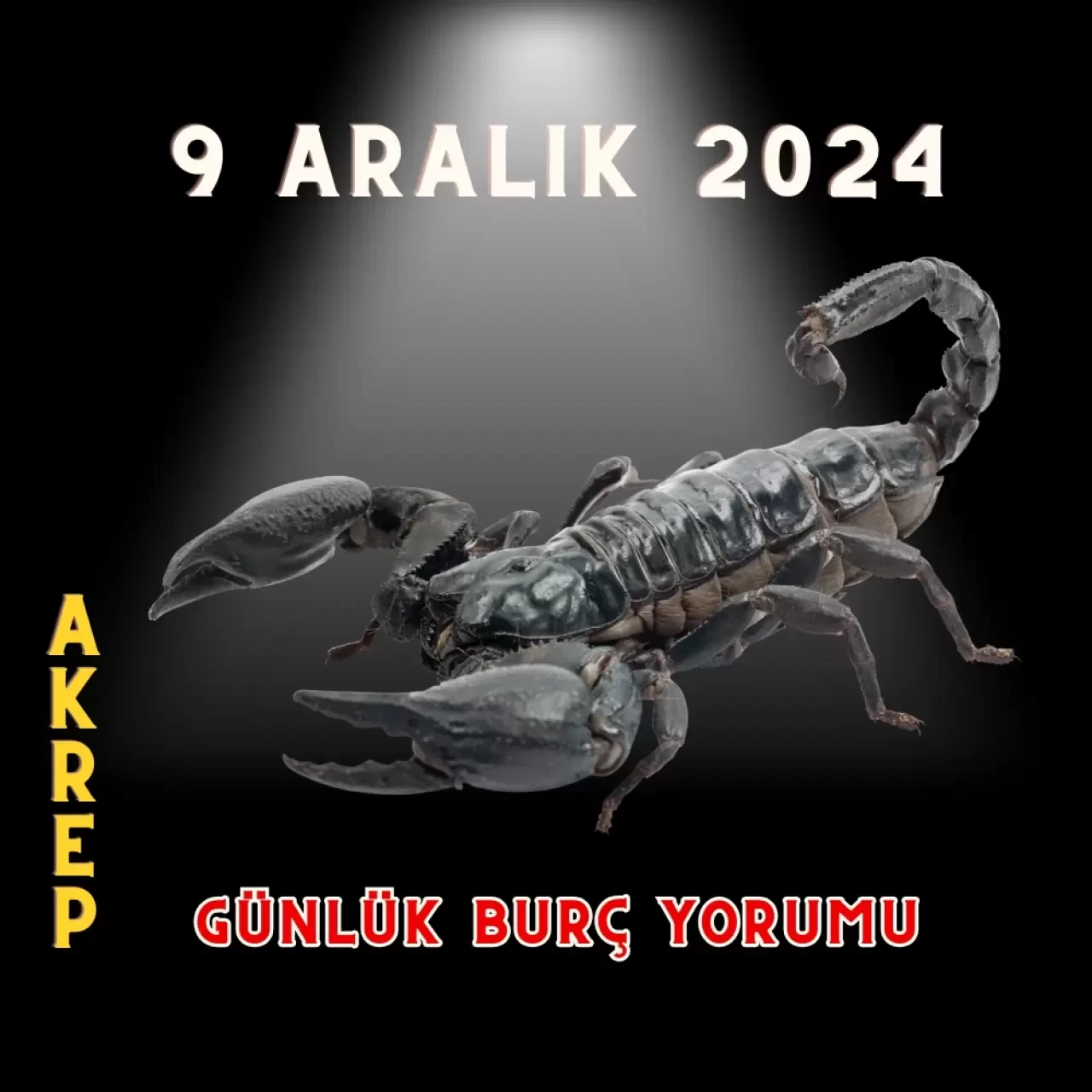 9 Aralık Günlük Burç Yorumları: Aşk, Para, Şans, Kariyer, Cinsellik yorumları 2024 8