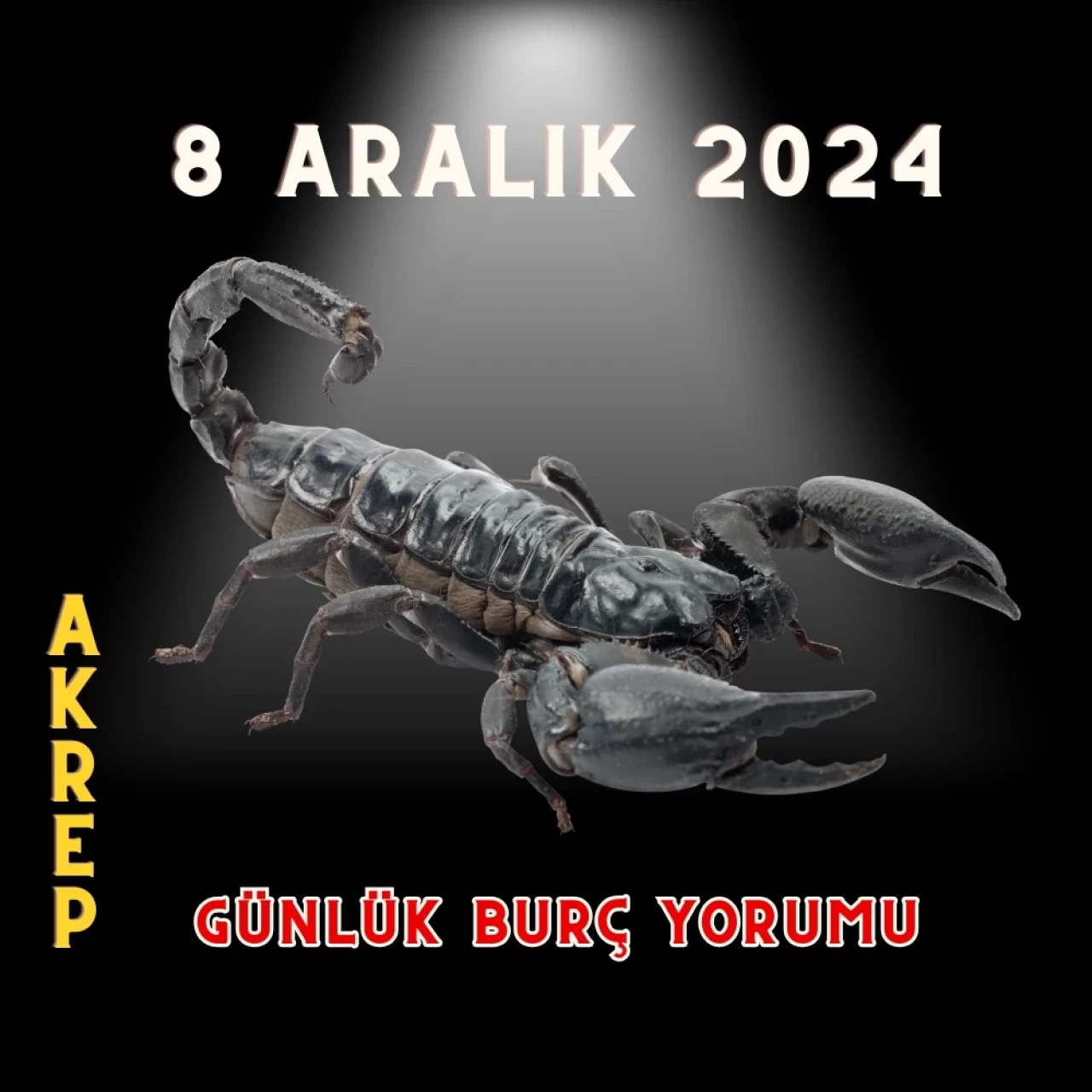 8 Aralık 2024 Akrep Burcu Günlük Burç Yorumları: Erkeği, Kadını, Aşk, Şans, Kariyer, Cinsellik Yorumu