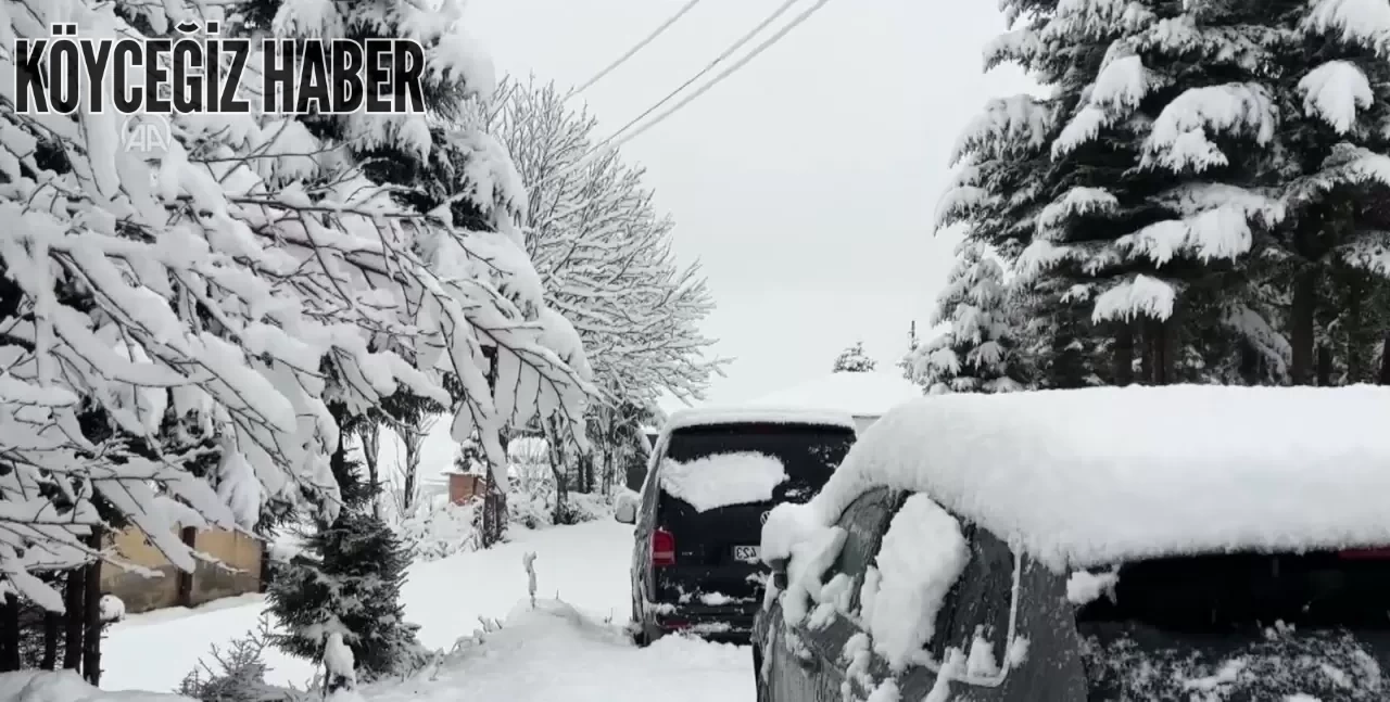 Artvin’in Şavşat ve Yusufeli İlçelerinde Okullar Tatil Edildi: Valilik Açıkladı!