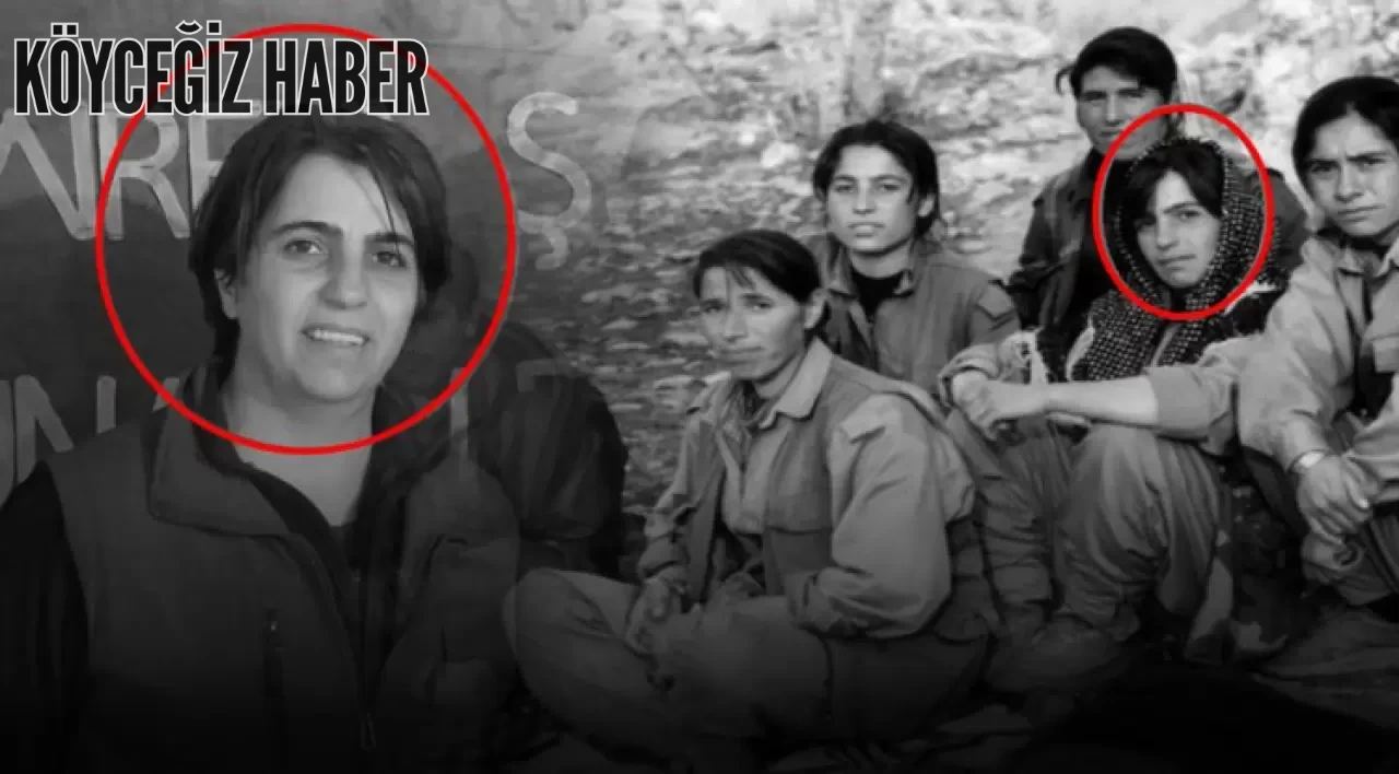 PKK sorumlusu Yayla Kızılkaya Kimdir, Aslen Nerelidir, Kod Adı nedir, Öldü mü?