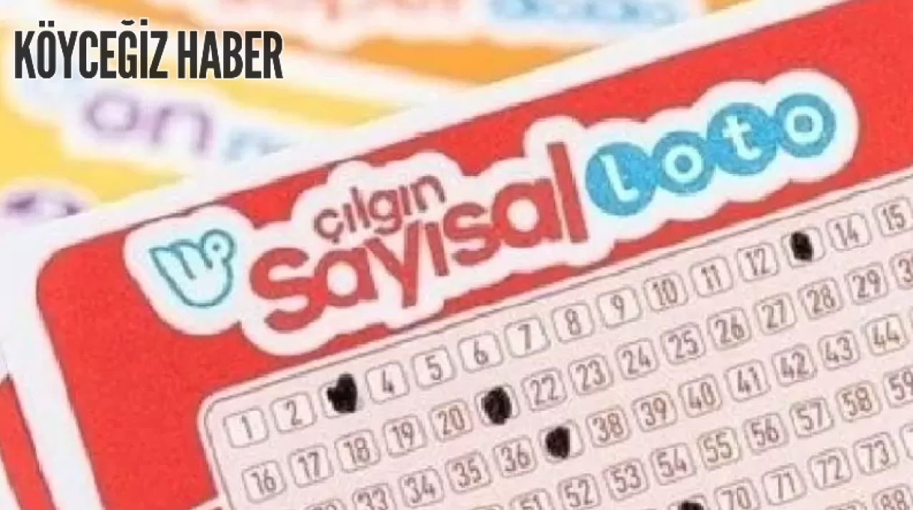 Sayısal Loto nasıl sorgulanır? Çılgın Sayısal Loto çekiliş sonucu, Sorgulama Ekranı 18 ARALIK