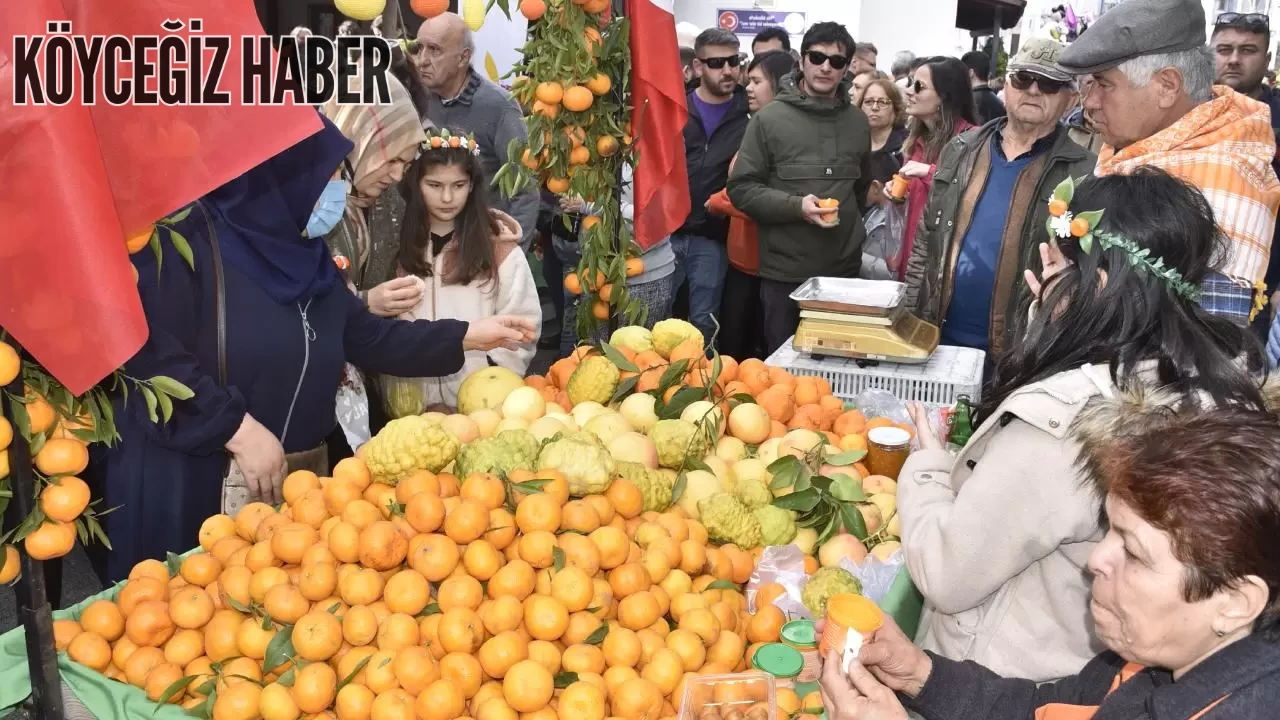 Bodrum Mandalin Festivali, 15 Aralık’ta Bitez Köy İçi’nde Yapılacak