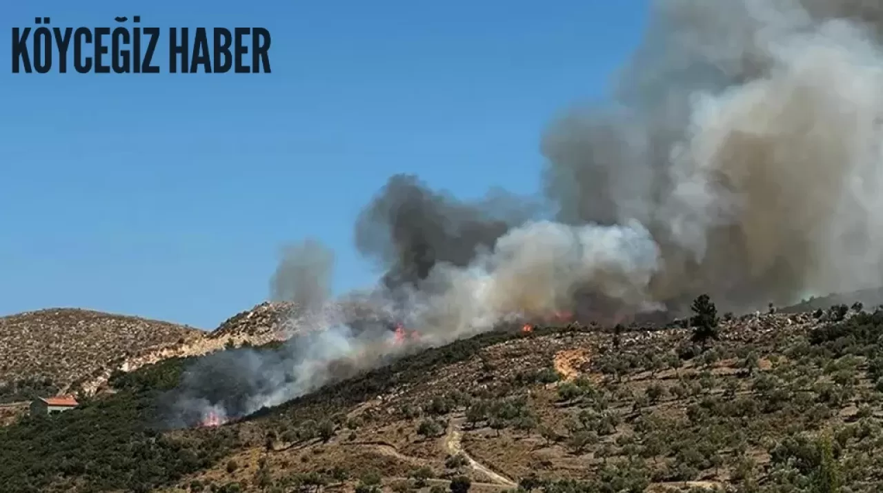 Hızlı müdahale işe yaradı: Milas'daki yangın kontrol altında