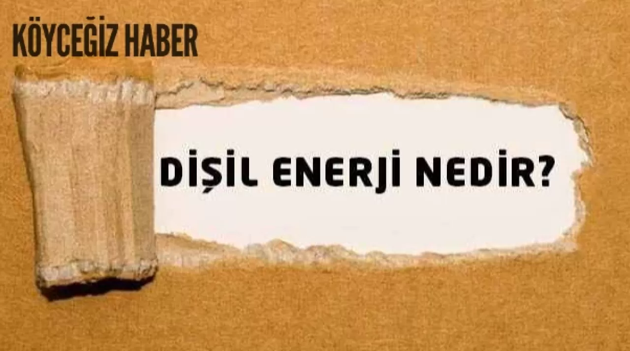 Disil Enerji Nedir? Özellikleri nedir ve nasıl Yükseltilir?