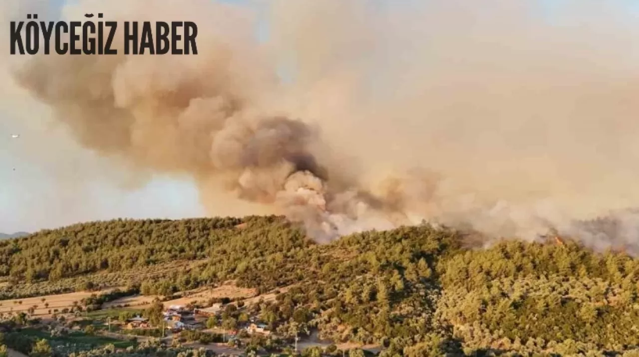 Muğla'nın Milas ilçesinde devam eden orman yangınına ekiplerin müdahalesi devam ediyor.