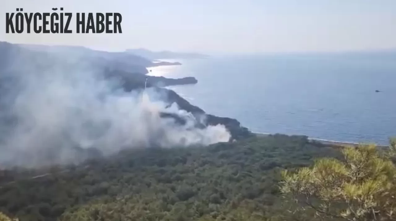 Muğla Datça‘da çıkan yangın ile mücadele devam ediyor!