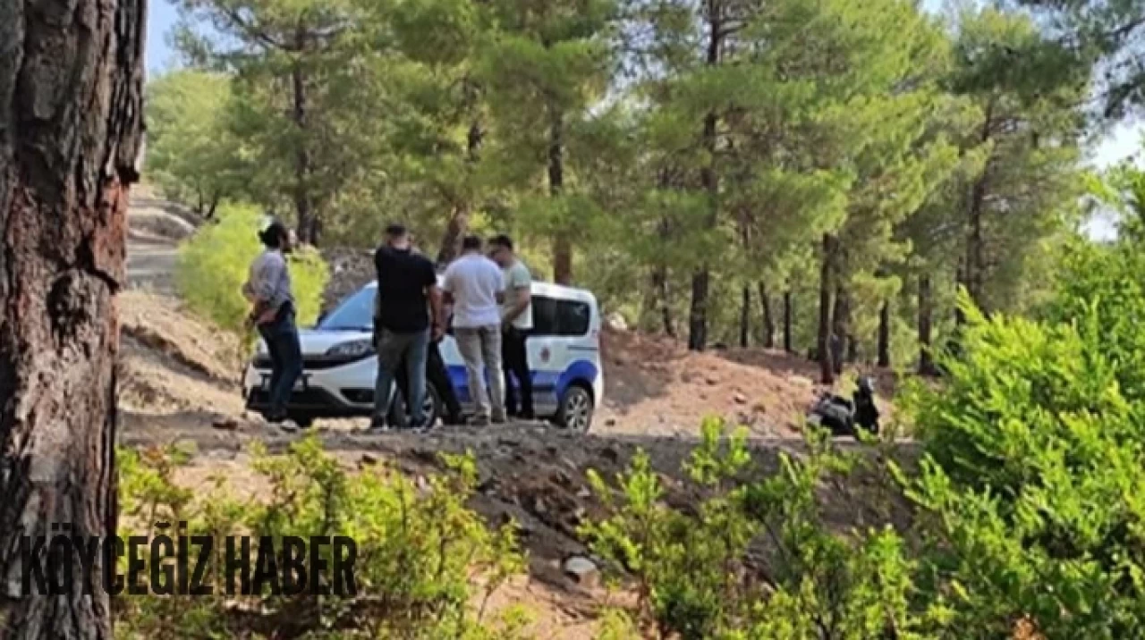 Fethiye'de korkunç olay! Ormanda terk edilmiş bebek bulundu