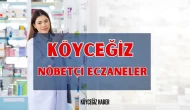 Köyceğiz'de 20 Aralık 2024 Nöbetçi Eczaneler Nerede? Köyceğiz En Yakın Nöbetçi Eczane Nerede?