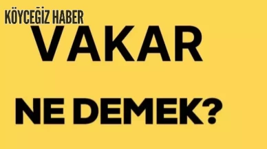 Vakar Nedir, Ne Anlama Geliyor: Vakar Kelimesi Ne Demek?