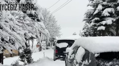 Artvin’in Şavşat ve Yusufeli İlçelerinde Okullar Tatil Edildi: Valilik Açıkladı!