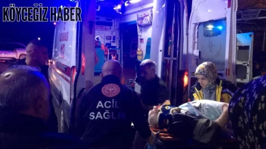 Adıyaman Sincik'de Minibüs Devrildi: İkisi Ağır 11 Yaralı