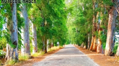 Köyceğiz Akyaka Arası Kaç Kilometre? Yol Tarifi ve Detaylar