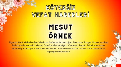 Köyceğiz Yeni Mahalleden Mesut Örnek Vefat Etmiştir!