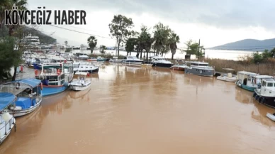 Tarihi Kadın Azmağı, Turkuaz Renginden Kahverengiye Döndü