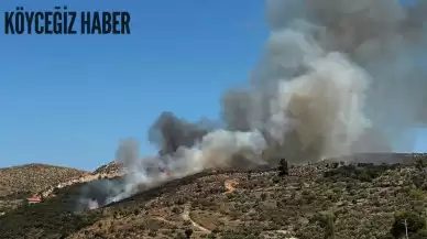 Hızlı müdahale işe yaradı: Milas'daki yangın kontrol altında