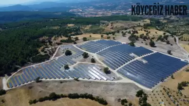 Köyceğiz'de yaşayanlar için sevindirici haber: 3200 hane için elektrik!