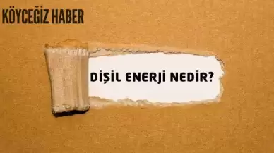 Disil Enerji Nedir? Özellikleri nedir ve nasıl Yükseltilir?