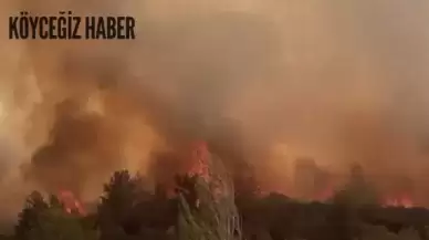 Aydın ile Muğla'yı Birbirine Bağlayan Karayolu Trafiğe Kapatıldı