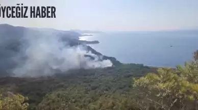 Muğla Datça‘da çıkan yangın ile mücadele devam ediyor!