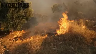 Muğla Yatağan'daki Yangında 2 Kişi Tutuklandı!