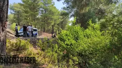 Fethiye'de korkunç olay! Ormanda terk edilmiş bebek bulundu