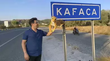 Karadeniz'in değil, Muğla'nın zekası etkileyici şekilde özgünleştirildi!