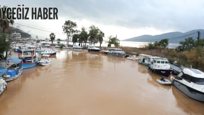 Tarihi Kadın Azmağı, Turkuaz Renginden Kahverengiye Döndü