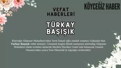 Gürpınar Köyceğiz'de Türkay Başışık'ı Kaybettik