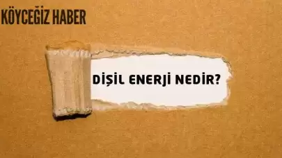 Disil Enerji Nedir? Özellikleri nedir ve nasıl Yükseltilir?