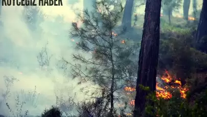 Muğla’da üç yerde daha orman yangını!