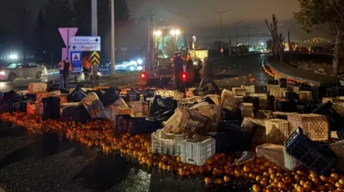 Menteşe Kötekli Kavşağında Portakal Yüklü Tır Devrildi