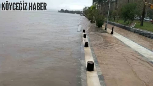 Köyceğiz Gölü Taştı: Su Baskını ve Sel Etkileri