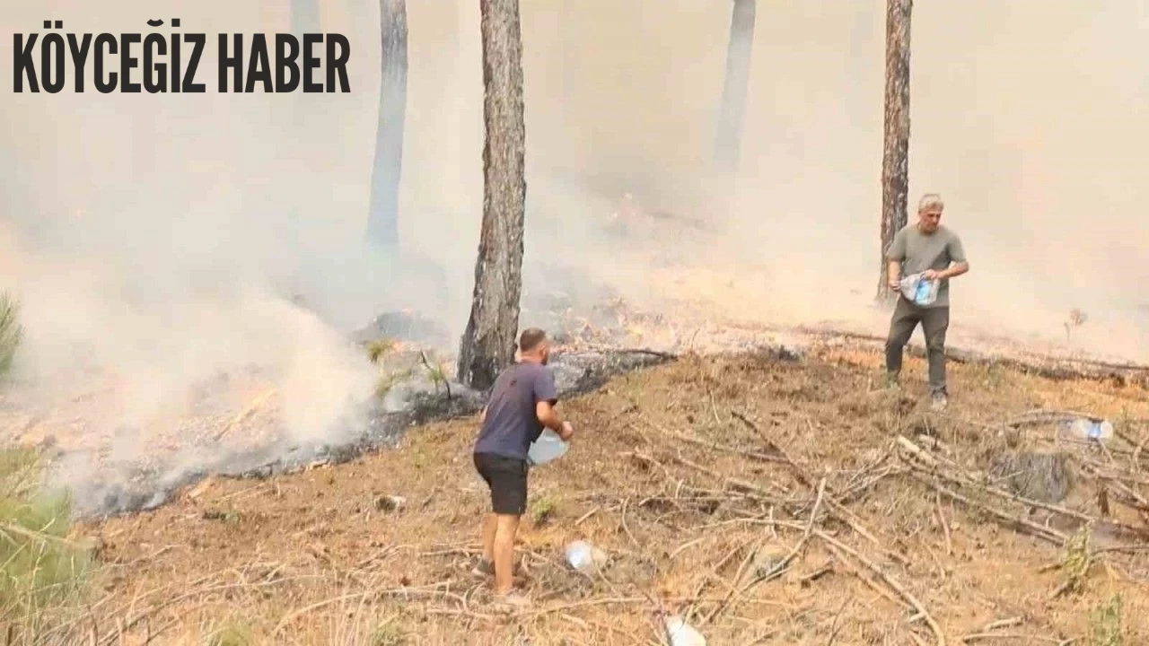 Ula'daki Orman Yangınında Vatandaşlar, Suyu Damacanalardan Taşıyarak Destek Oluyor