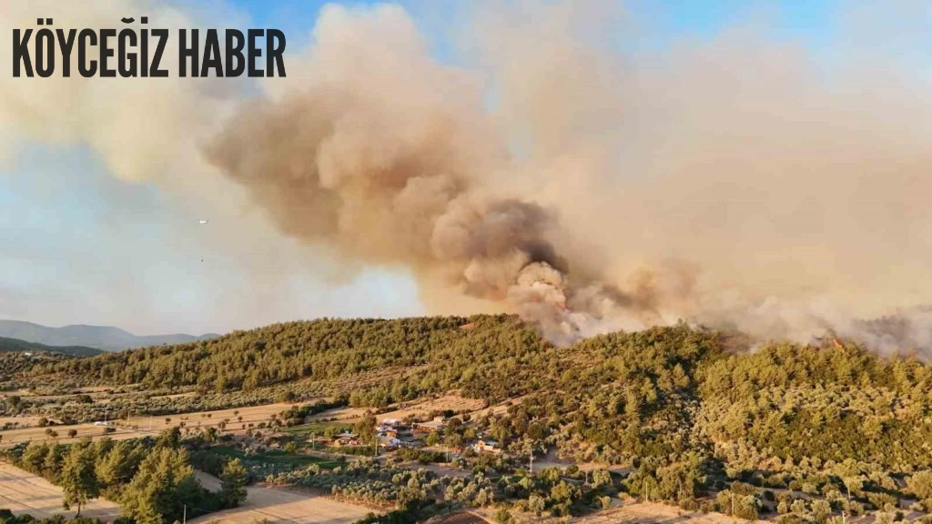 Muğla'nın Milas ilçesinde devam eden orman yangınına ekiplerin müdahalesi devam ediyor.