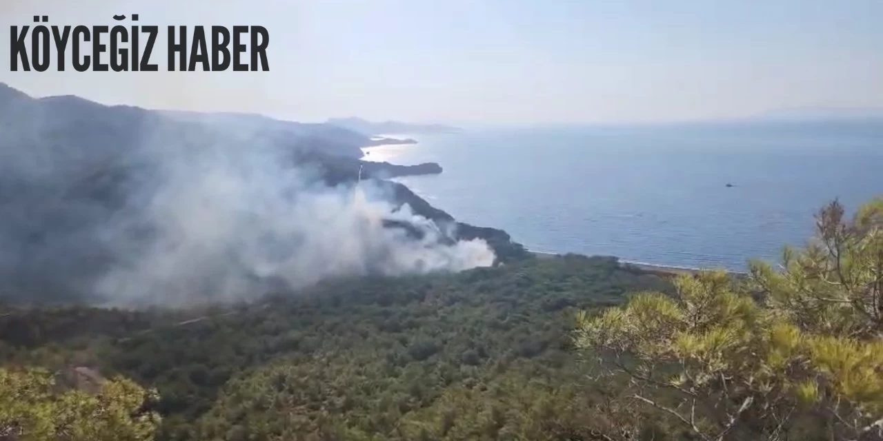 Muğla Datça‘da çıkan yangın ile mücadele devam ediyor!