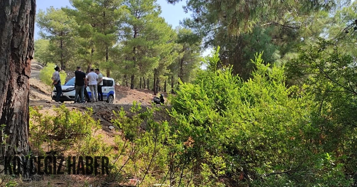 Fethiye'de korkunç olay! Ormanda terk edilmiş bebek bulundu