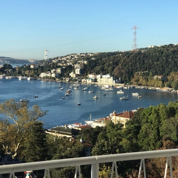 İstanbul Sulh Hukuk Mahkemesi'nde görülen davada bilirkişi heyeti, Arif Paşa Korusu'ndaki evin özelliklerini ve çevresindeki emsal evlerin kira bedellerini dikkate alarak kira bedelini 75 bin lira olarak tespit etti. Bu karar doğrultusunda Tanyolaç'ın kirası 11 bin liradan 75 bin liraya çıkarıldı.