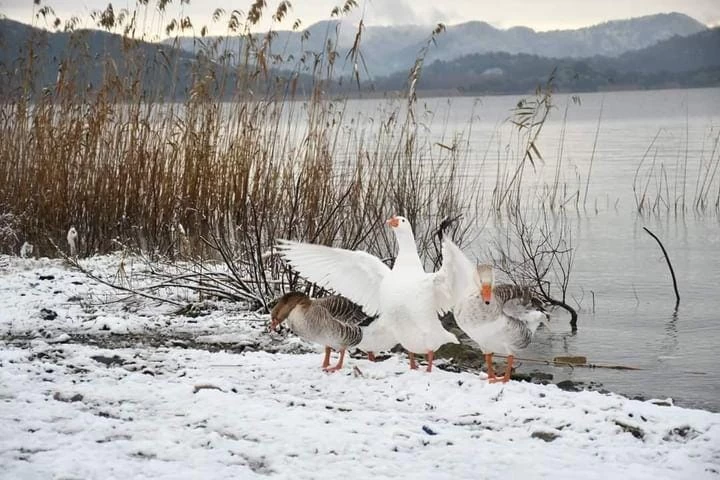 Köyceğiz manzara fotoğrafları, Köyceğizde ne yenir, nerelere gidilir, yakın yerler, meşhur yemekler, turizm yerleri ve Köyceğiz tarihçesi, 